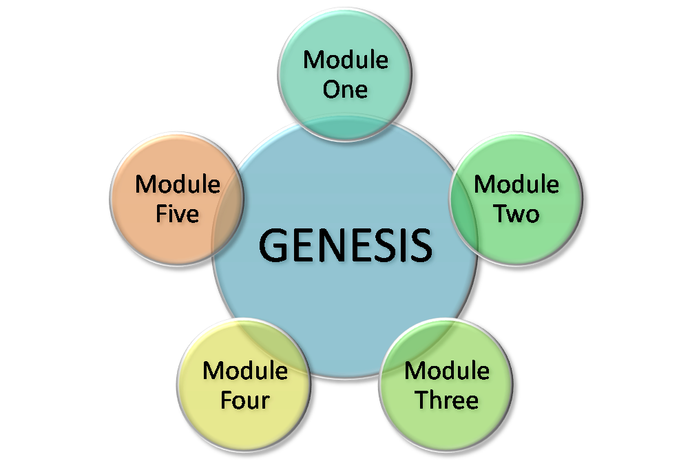 genesis-programme-learning-and-development-how-we-help-consultation-ltd