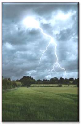 Lightning bolt striking trees behind a green field