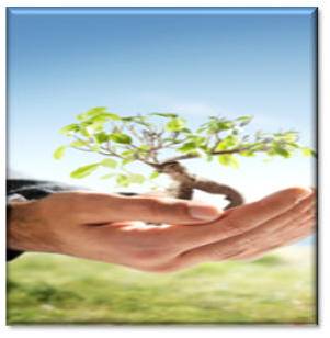 Learning & Development graphic Growing tree of knowledge held in cupped hands